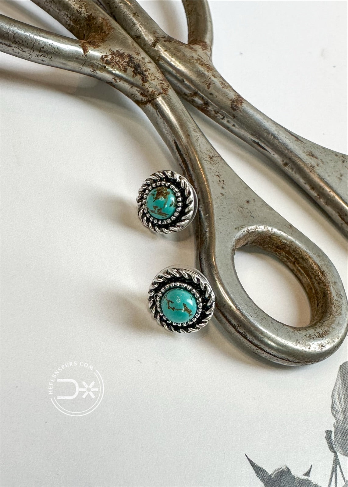 Prairie Moon Studs