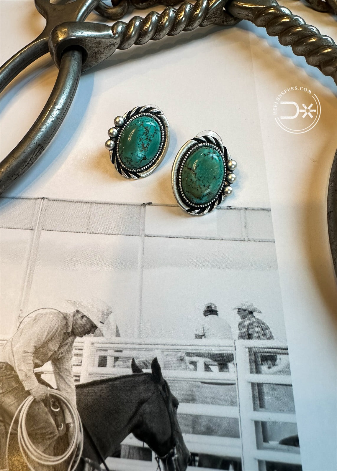 Dusty Trails Studs