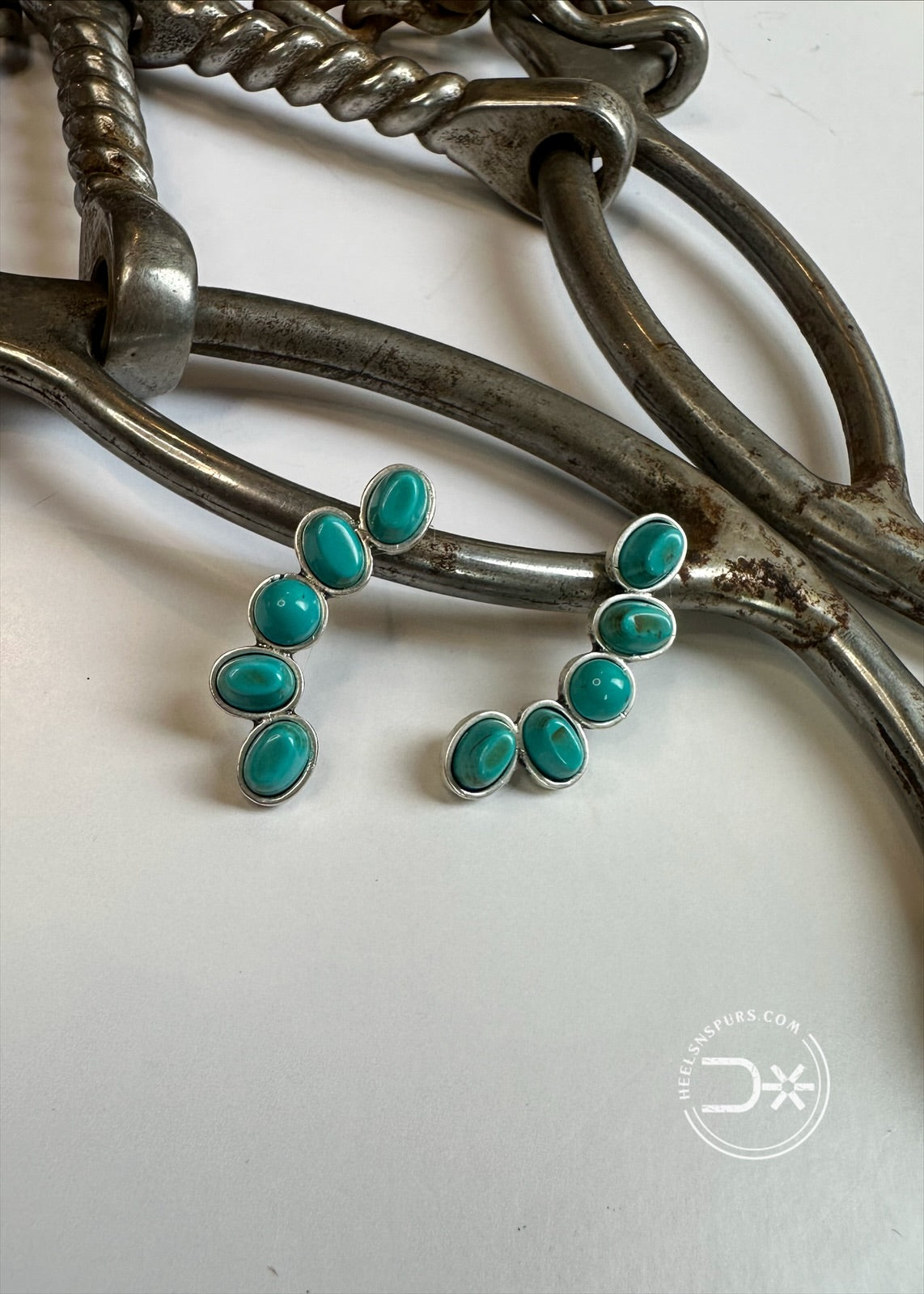 Cactus Bloom Post Earrings