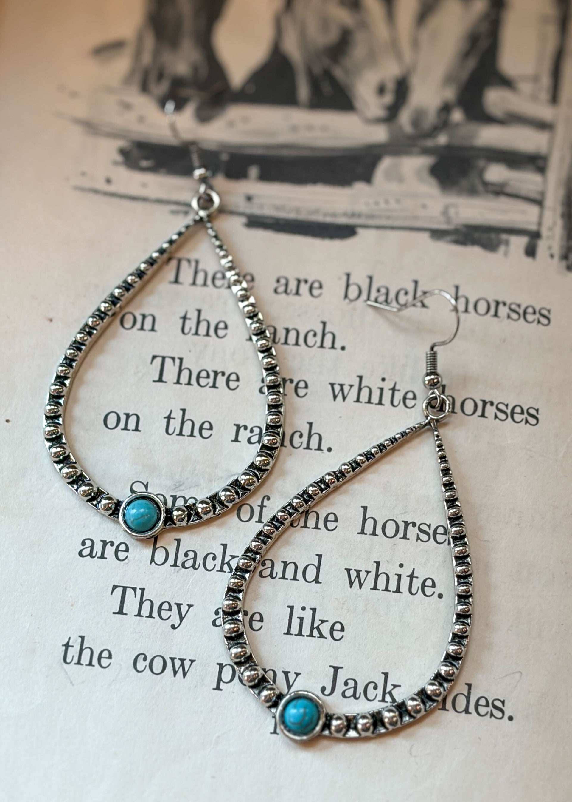 The Ranchwater Eaarings