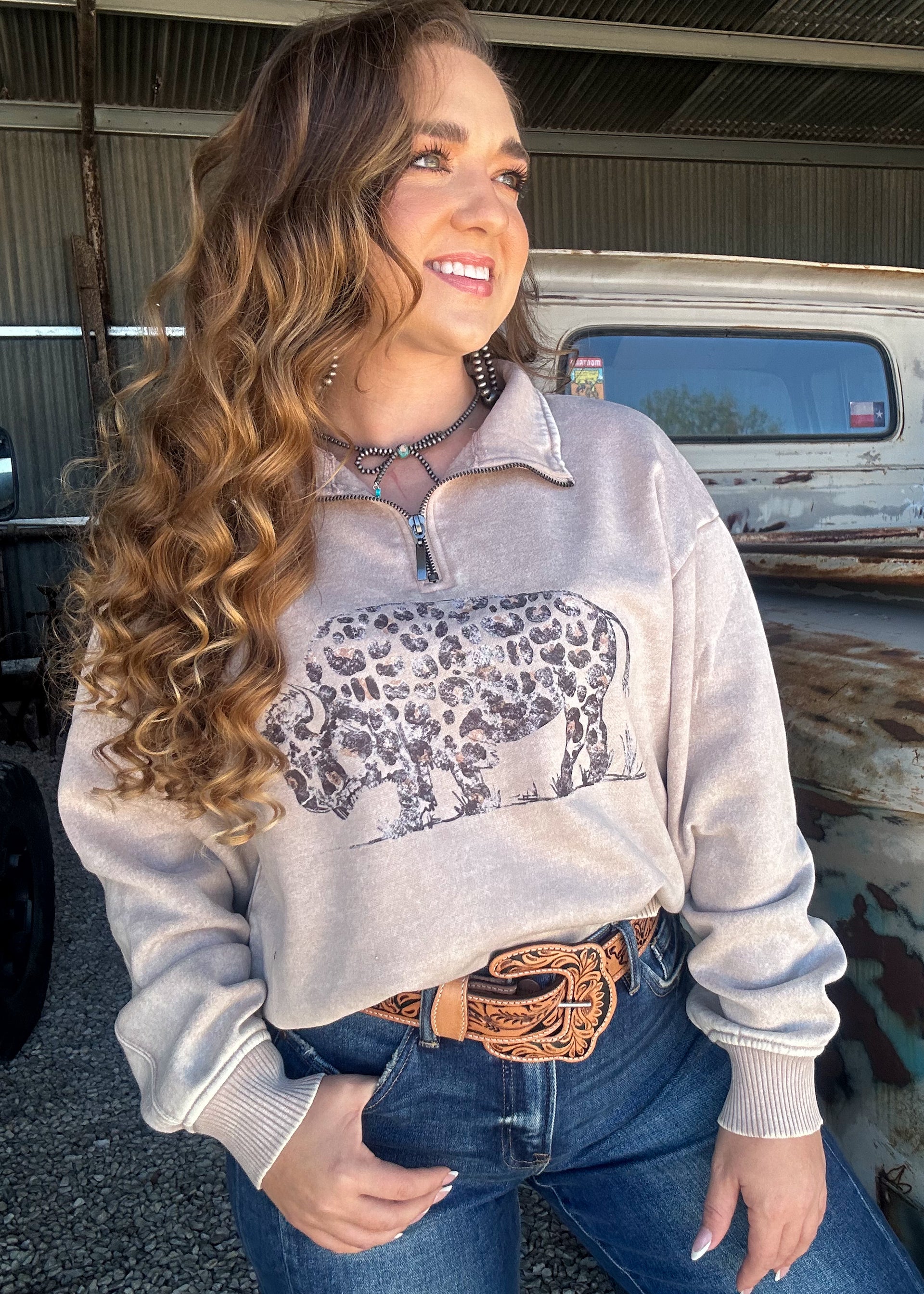 The Painted Bull Quarter Zip