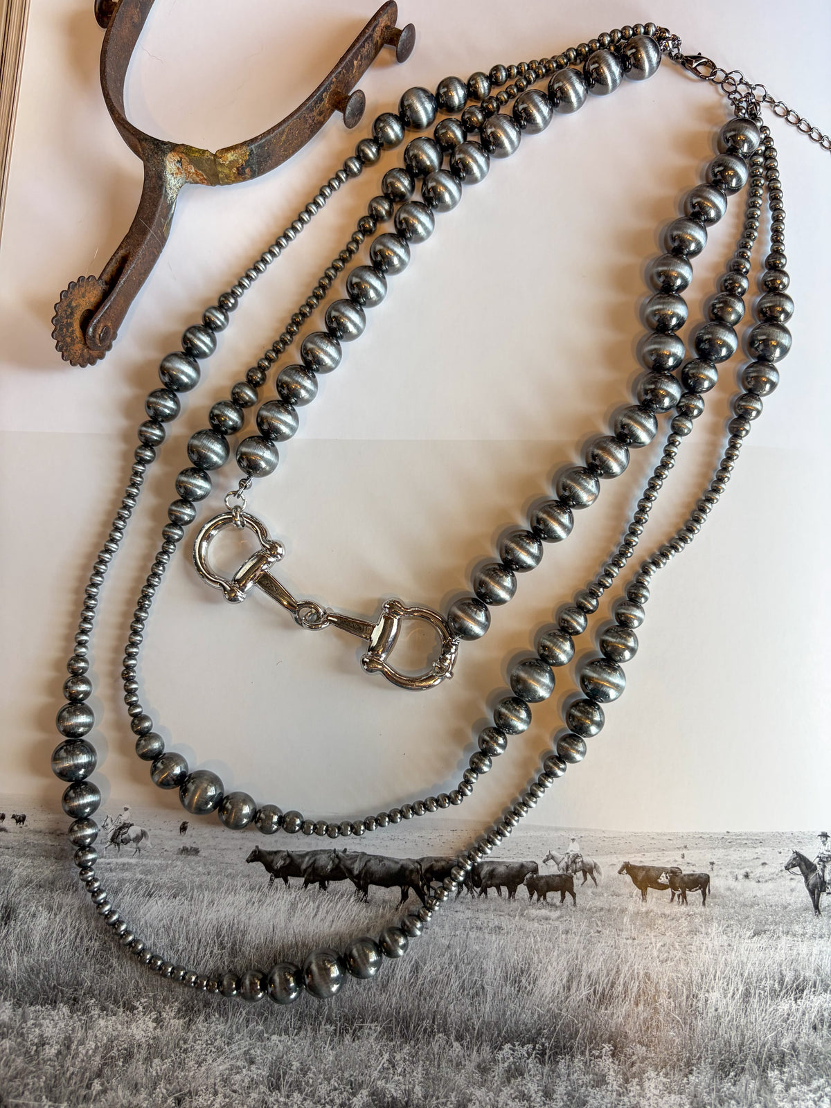 The Silver Spur Layered Necklace