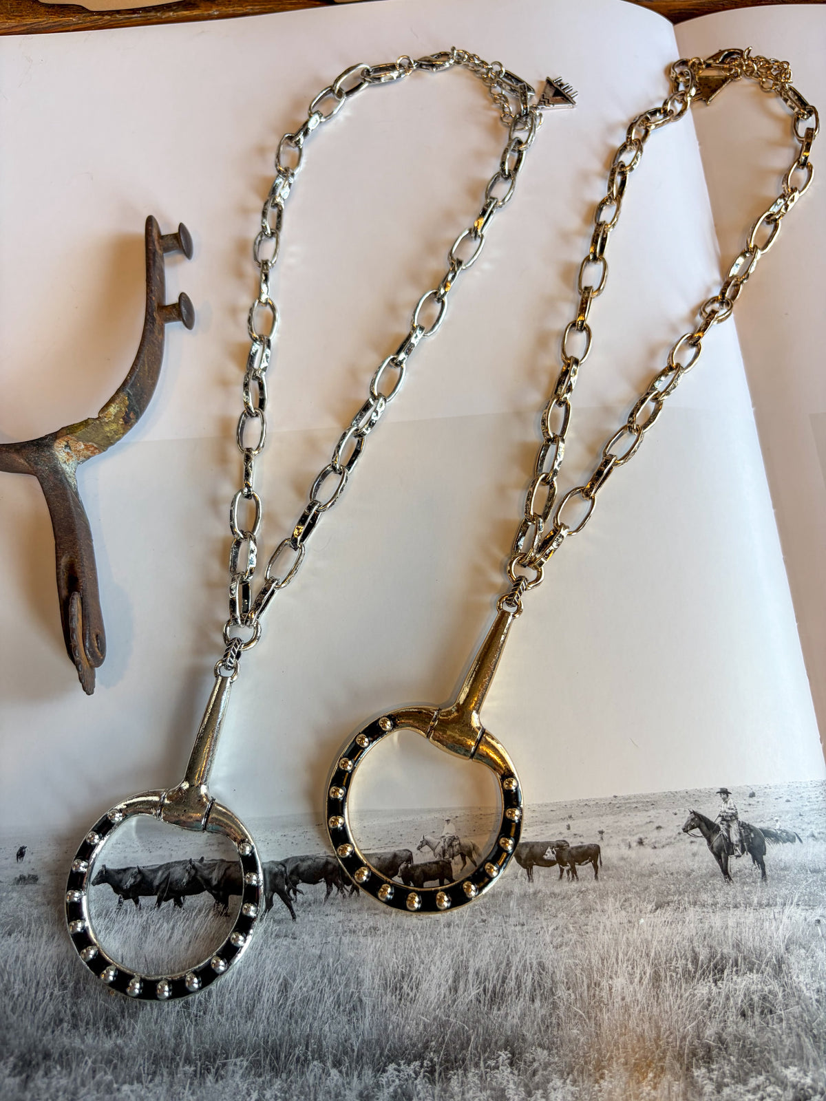 The Snaffle Necklace