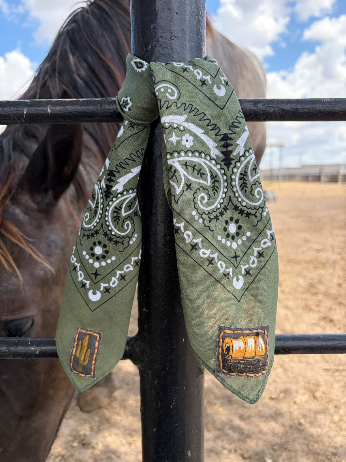 The HNS Heritage Wild Rag Collection