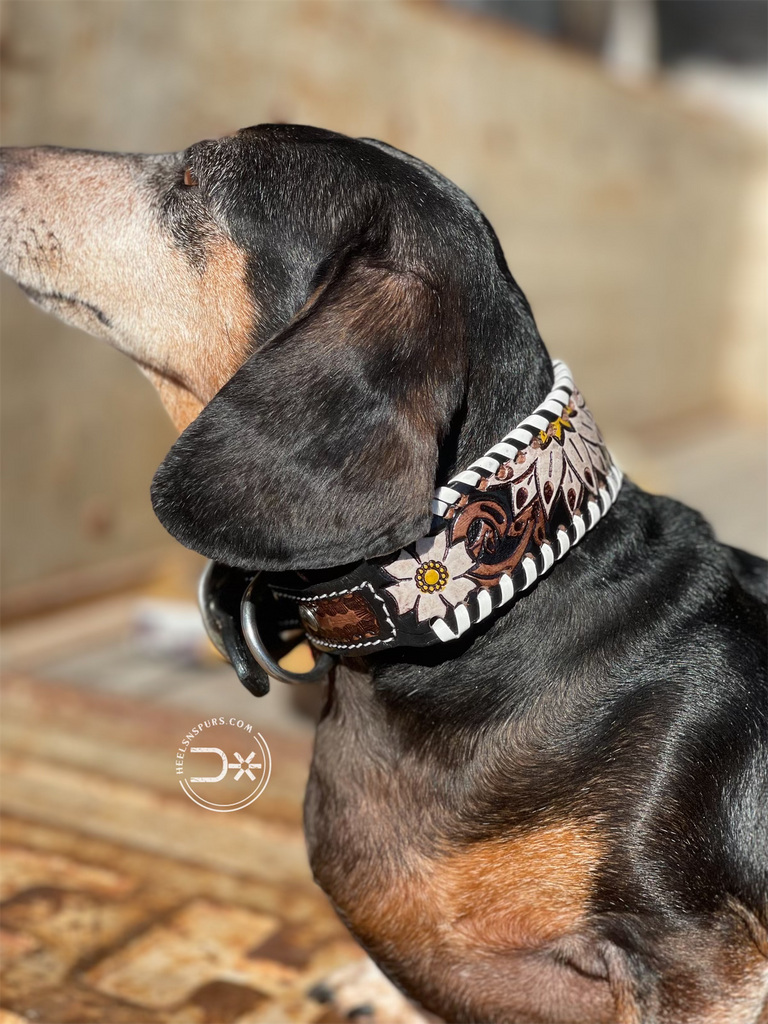 Daisy Whipstitched Dog Collar #5755