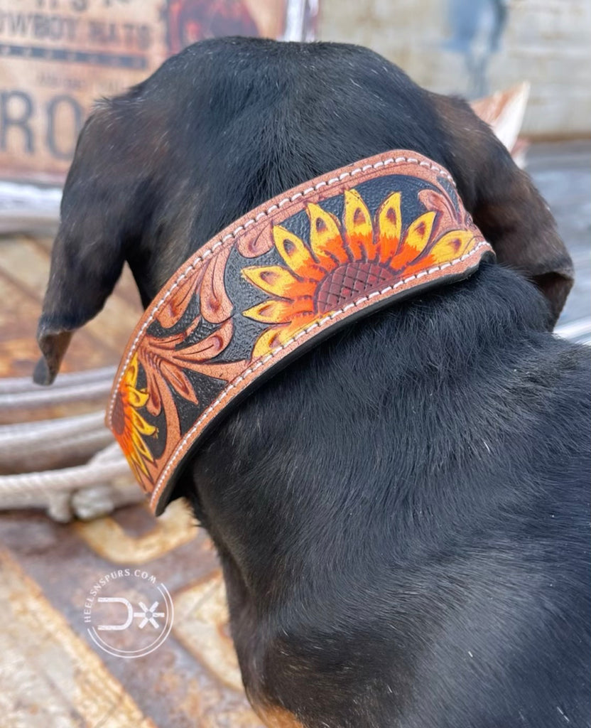 Sunset Sunflower Dog Collar #6887