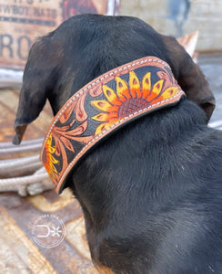 Sunset Sunflower Dog Collar #6887